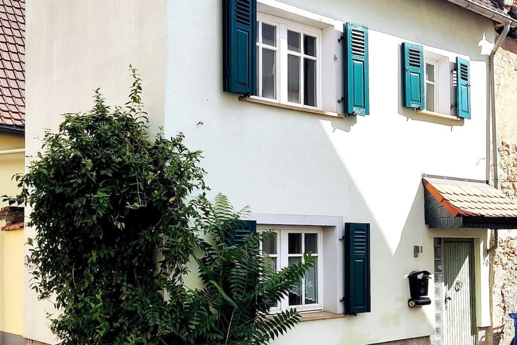 Schoenes Gemuetliches Haus Toplage Freinsheim Exterior foto